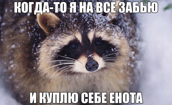 Так себе картинки 05.02.21