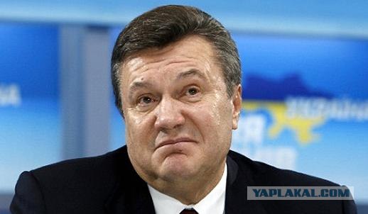 Вумный мальчик. А вы так можете?