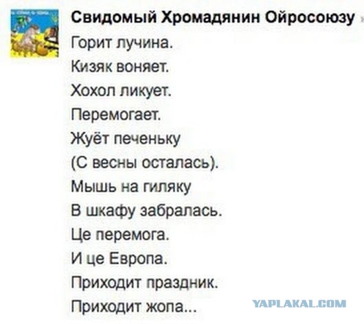 Зеленский попросил организовать переговоры с Путиным о Донбассе
