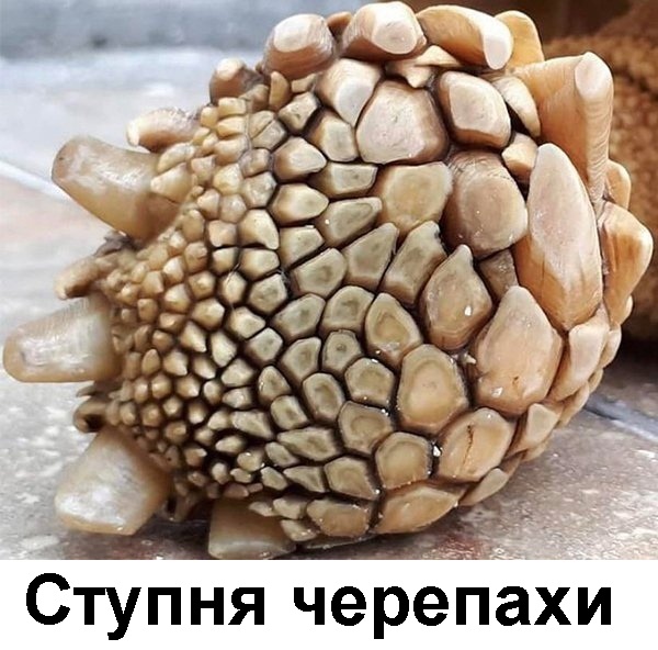 Всяческие картинки