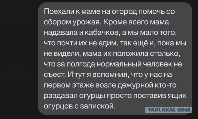 Добрые дела