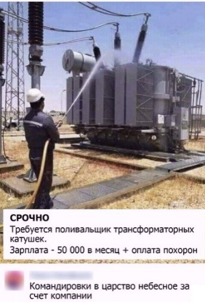 Так себе картинки 20.08.21