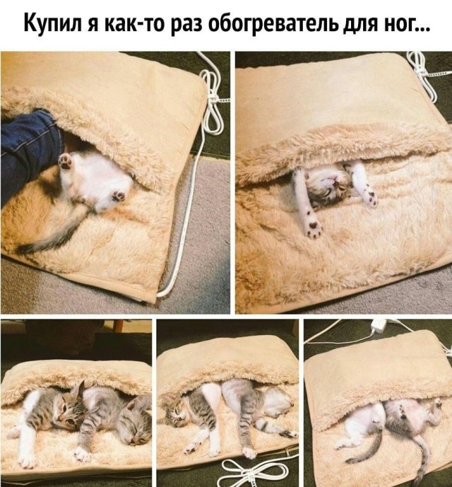 Так себе картинки 07.09.21
