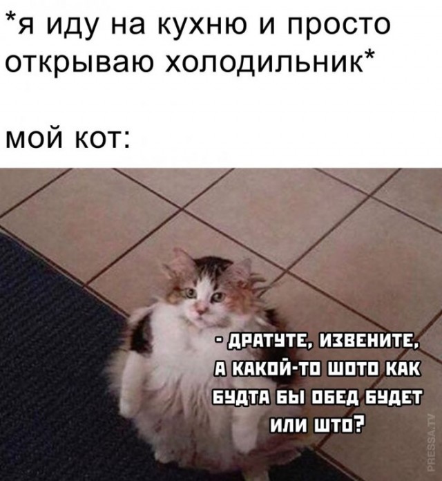 Картинки и мемы для настроения 13.09.2021