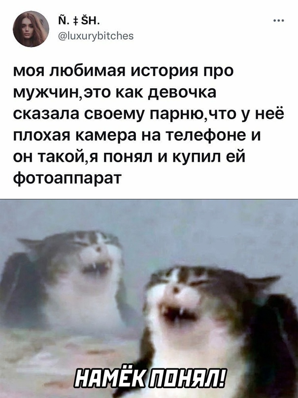 Весёлый полтишок 05.11