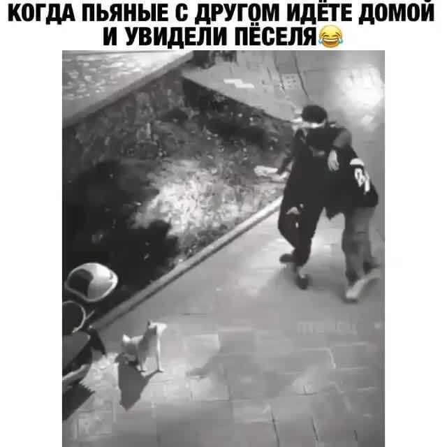 Алкопост 7.01.22