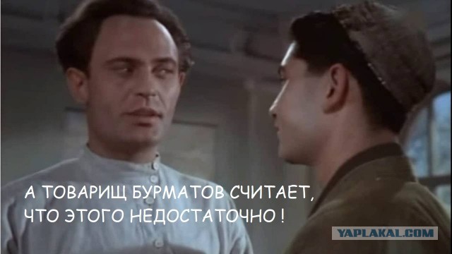 Жители села Домна, где собаки загрызли девочку, собрались на стихийный митинг