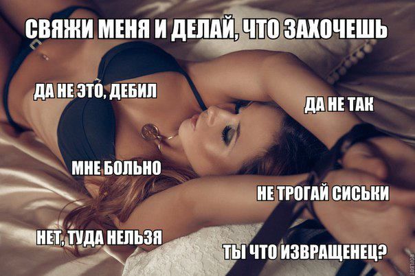 Весёлый полтишок 03.02