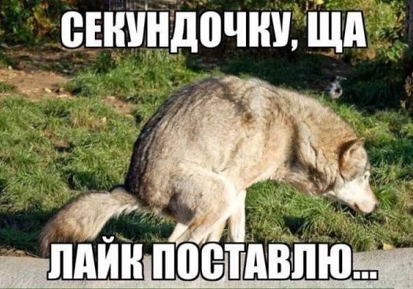 Картинки аморальные и всякие разные - 29