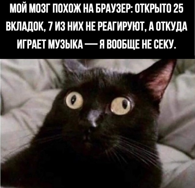 Картинки и мемы для настроения - 11