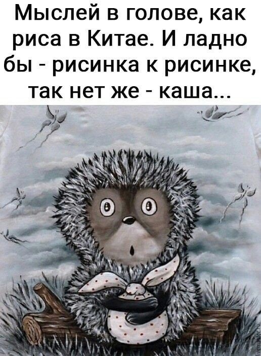 Картинки и мемы для настроения - 17