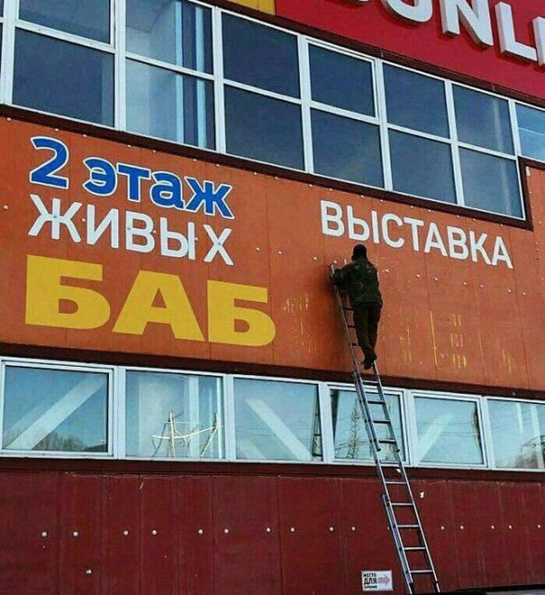 Так себе картинки 06.09.22