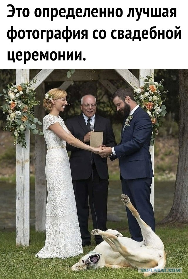 Так себе картинки 03.04.23