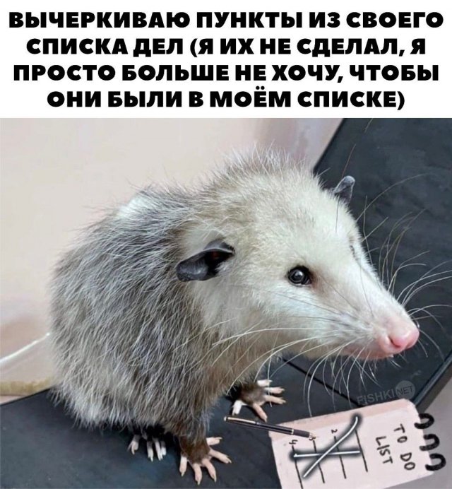 Картинки и мемы, всяко разно - 183