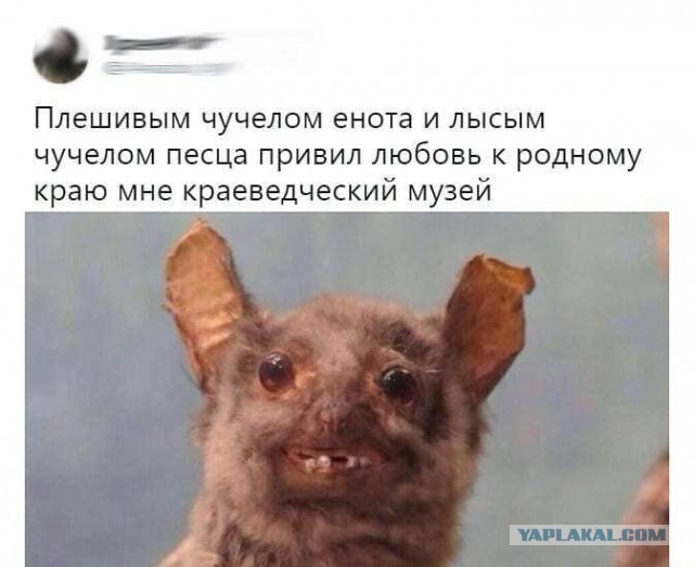Музей 2.0