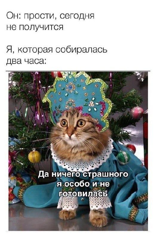 Весёлый полтишок 11.08.23