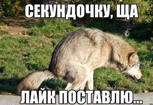 Чёрное море копали негры, а не древние укры.