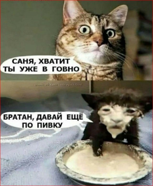 Среда - маленькая пятница