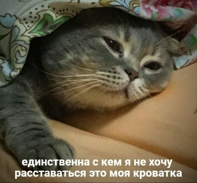 Так себе картинки 13.06.24