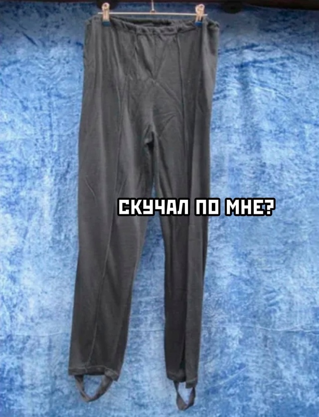 Весёлый полтишок 04.10.2024