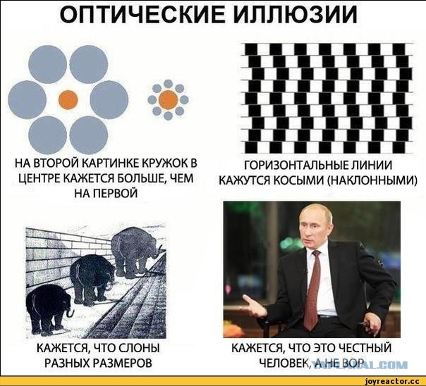 Навальный – президент ботов