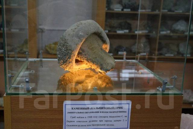 Природа не перестаёт удивлять