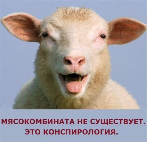 Учёные, завершив исследования о влиянии вакцин от COVID-19 на здоровье людей, опубликовали шокирующие результаты