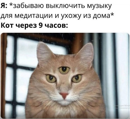 А где Цой?