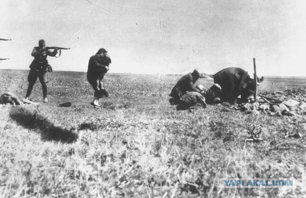 Курская дуга. 50 дней ада
