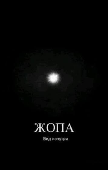 Аниматор, вид изнутри