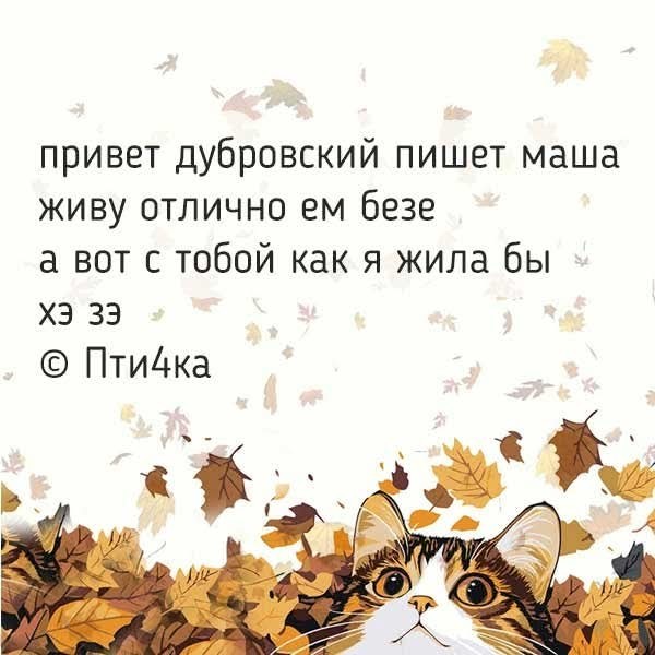 Маленькая пятница 19.11