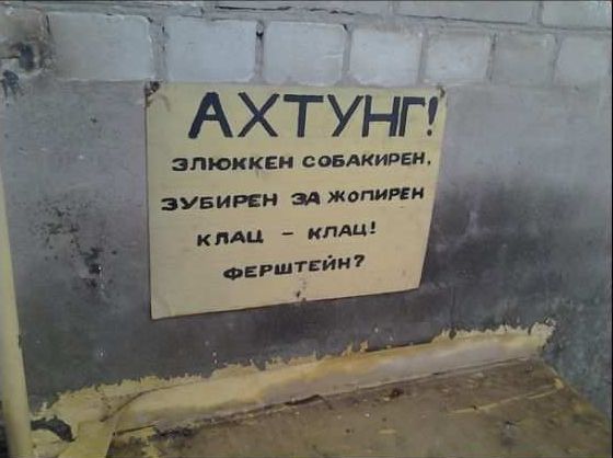 20716250.jpg