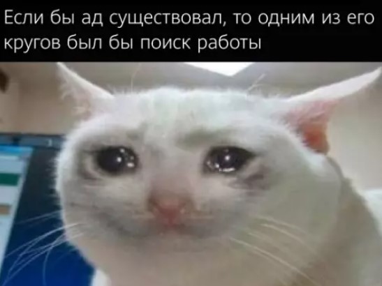 Картиночки, баянчики 22 марта