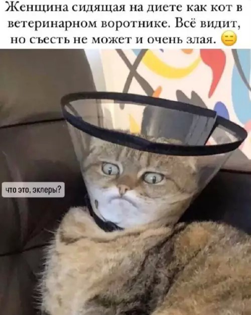 Картиночки, баянчики 10 апреля