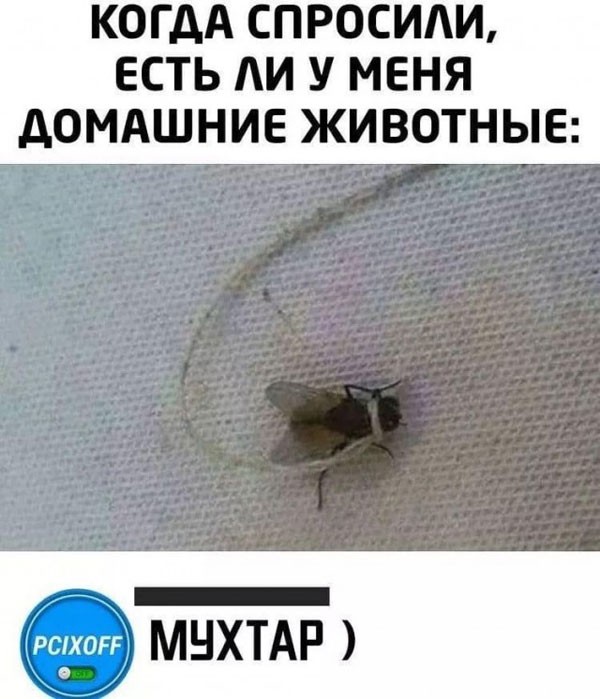 Средовские боянчики