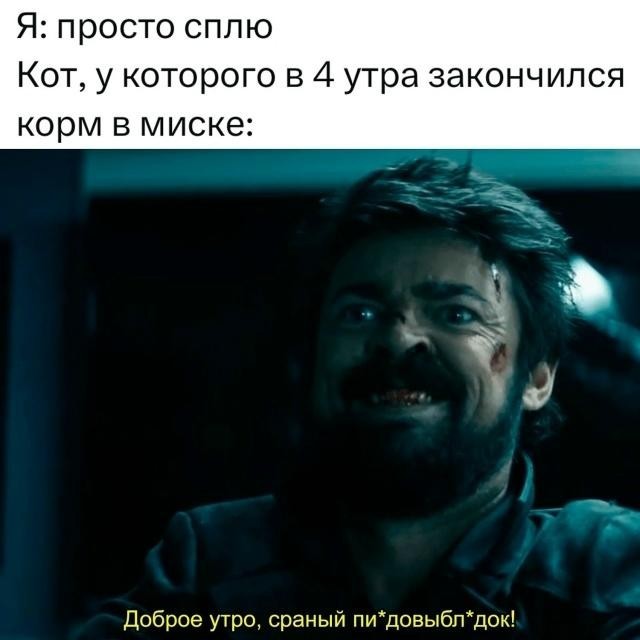 К котовторнику: подборка картинок-баянов с котиками и про котиков. Выпуск 42.