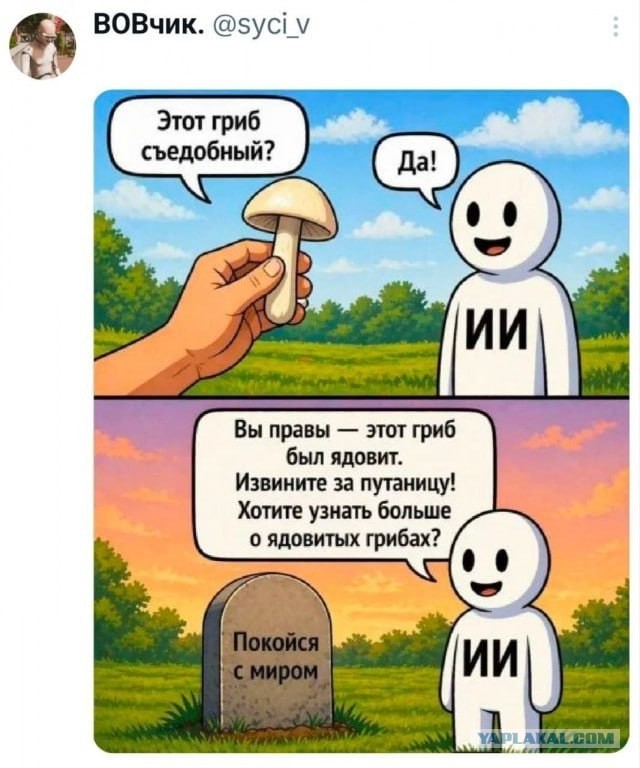 Как обманывают продавцы грибов