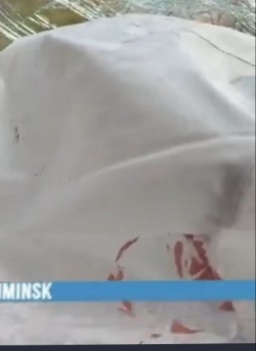 28-летняя пьяная автоледи из Беларуси на каршеринговом Haval врезалась в столб — "трубочка" показала 2 промилле алкоголя