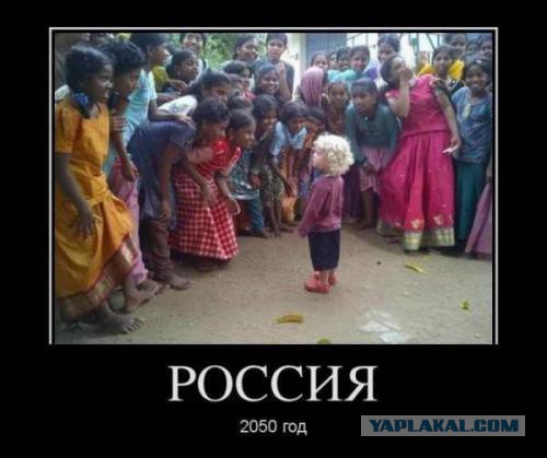 Агрессия в российском обществе растёт ..