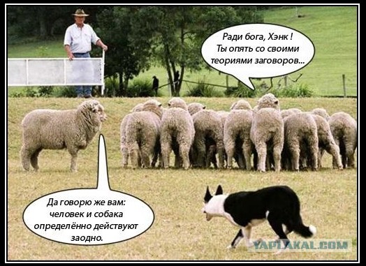 Американская интервенция Дальнего Востока.