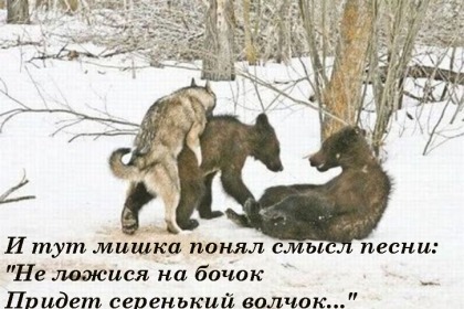 Смешные комментарии из социальных сетей