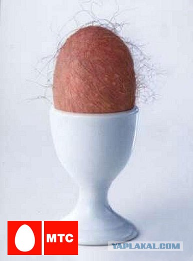 Немного позитива на пятницу