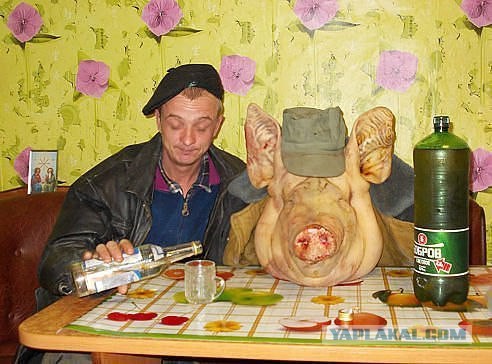 Ужасы и приколы из соцсетей