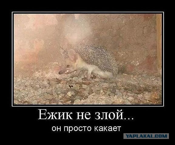 Нужна помощь или совет