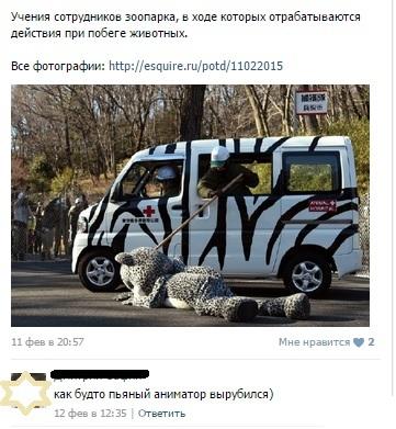 Смешные комментарии из социальных сетей