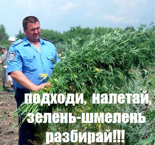 Кому юкки, коллеги?