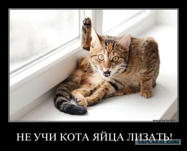 Подборка фотоприколов.