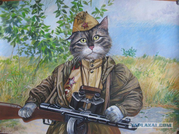 Военные фото, сделанные в очень нужный момент