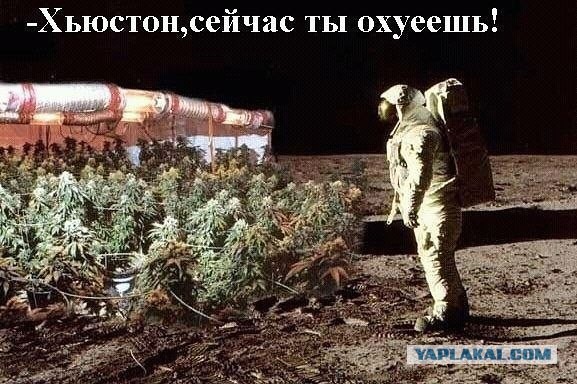 Про траву.