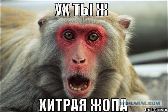Вот и выходные-какие у кого планы?